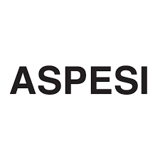 Aspesi IT